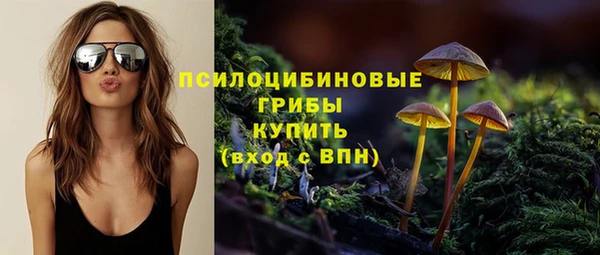 СК Алексеевка